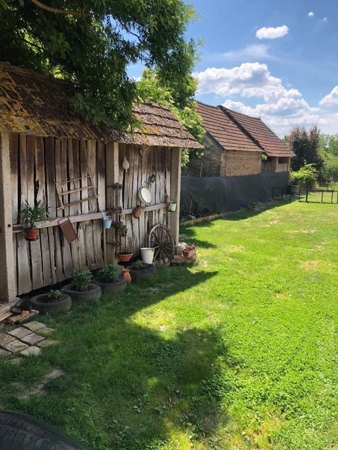 Edit Vendégház Balatonszentgyörgy Balatonszentgyorgy Exterior foto